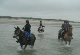  Les Feets en el agua 